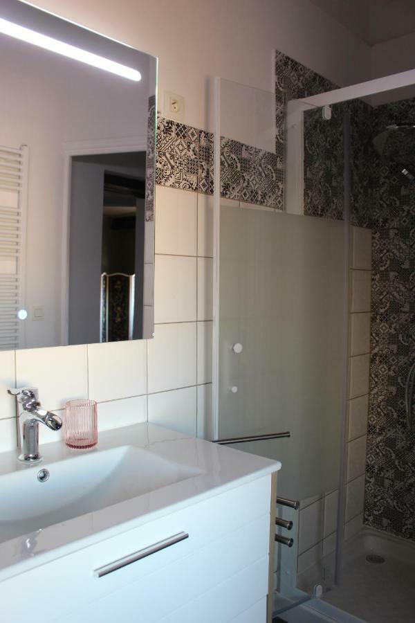 Le Cerf Volant Apartment Albi Exterior photo